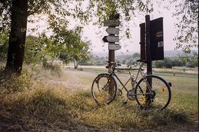 Beautiful landscape with vintage bike near the signs, among the colorful plants, around the meadow