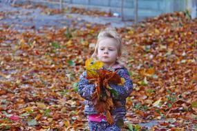 little girl with yellow leaves and in hands in an autumn park