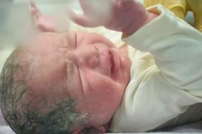 Portrait of the newborn baby, laying