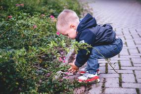 kid playing in the park