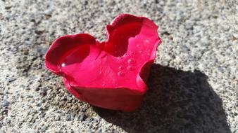 Heart Love Valentines decoration