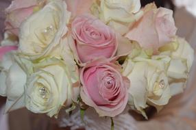 Roses, Pink and white Flowers, bouquet