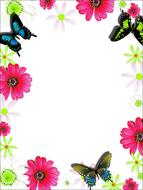 white background with flowers and butterflies