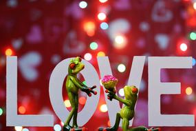 Love Day, Pair frog