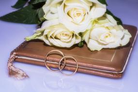 white roses, brown folder and wedding rings