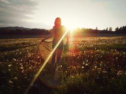 silhouette of a girl on a meadow in the rays of the evening sun