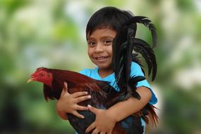 Rooster and Child