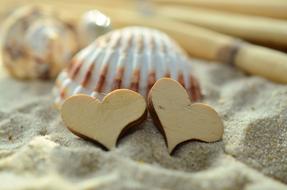 Close-up of the beautiful and colorful mussel shell with wooden hearts, on the sand