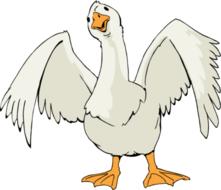 Beautiful painting of the cute, white and yellow goose, at white background, clipart