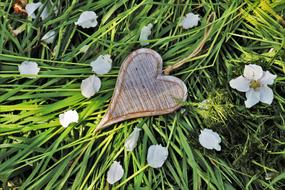 wooden Heart and white petals on green grass
