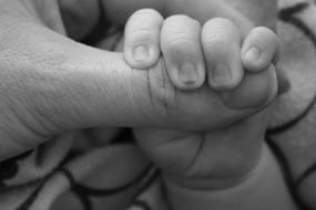 Black and white photo with close-up of the cute baby hand holding parent's hand