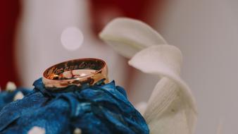 Wedding Rosa Blue and ring