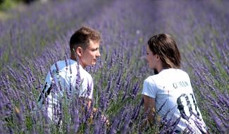 couple in love in lavender field