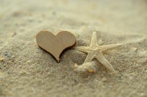 the heart of the mountain near the starfish on the sand