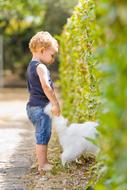 a child caught a white cat by the tail