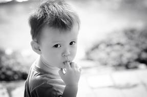 Boy Kid portrait