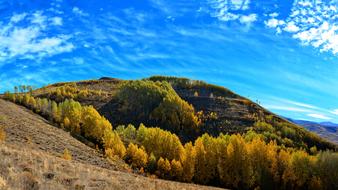 Autumn Season in Nature