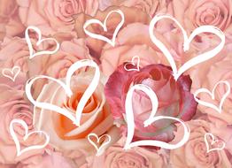 hearts on a background of pink roses