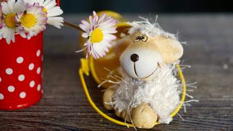 bear Decoration and Daisy Spring