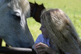 Girl Blonde Hair and horse