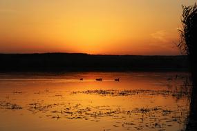 lake against the background of a golden sunset in Hungary