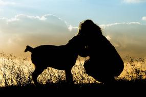 Beautiful silhouettes of the dog and girl, on the meadow, at colorful and beautiful sunset with clouds