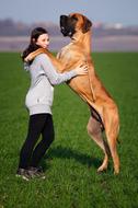 Girl and Dog Great Dane