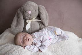 sleeping newborn near a large soft toy