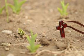 wooden religious cross on the ground