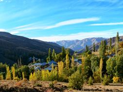 Autumn Season Nature