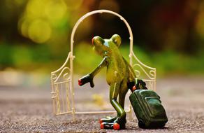 Frog and Archway Garden Door