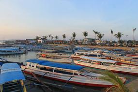 boats on the coast of a tropical island