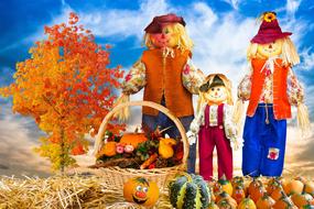 autumn decoration, scarecrow and harvest in a basket