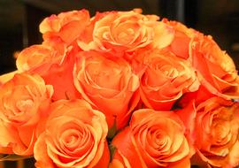 Rose Flower Bouquet