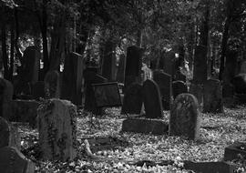 black and white photo of a cemetery with tombstones