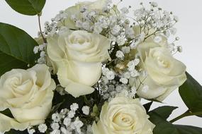 bridal bouquet with white roses