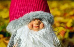 figurine of a dwarf with a beard in the park on a blurred background