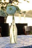 white flower in a glass vase on the table