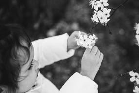 Little Girl And Flower White