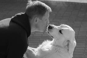 friendship of a man and a dog