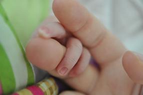 Close-up of the cute hand of the child, on the parent's hand