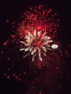 red and white fireworks in the night sky