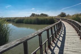 wooden bridge over the lake on a sunny day