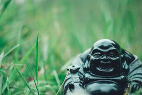 buddha figurine in grass in blurred background