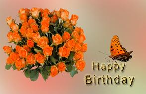 orange butterfly on greeting card