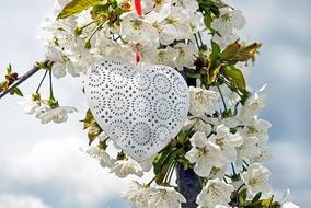 white heart on a flowering branch