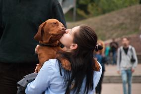 People and Animals in park