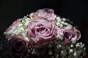 wedding bouquet with purple roses in the dark