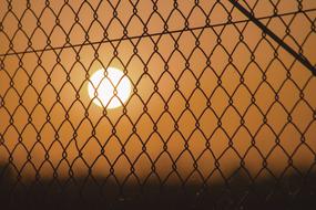 Fence Grid at Sunset