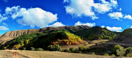 highland with green grass under a blue sky with clouds